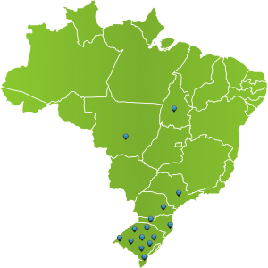 brazil 12